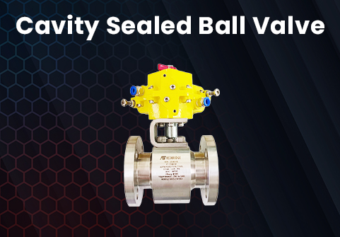 Cavity Sealed Ball Valves