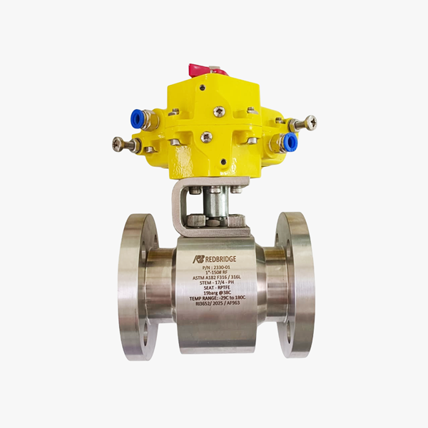 CAVITY SEALED BALL VALVE